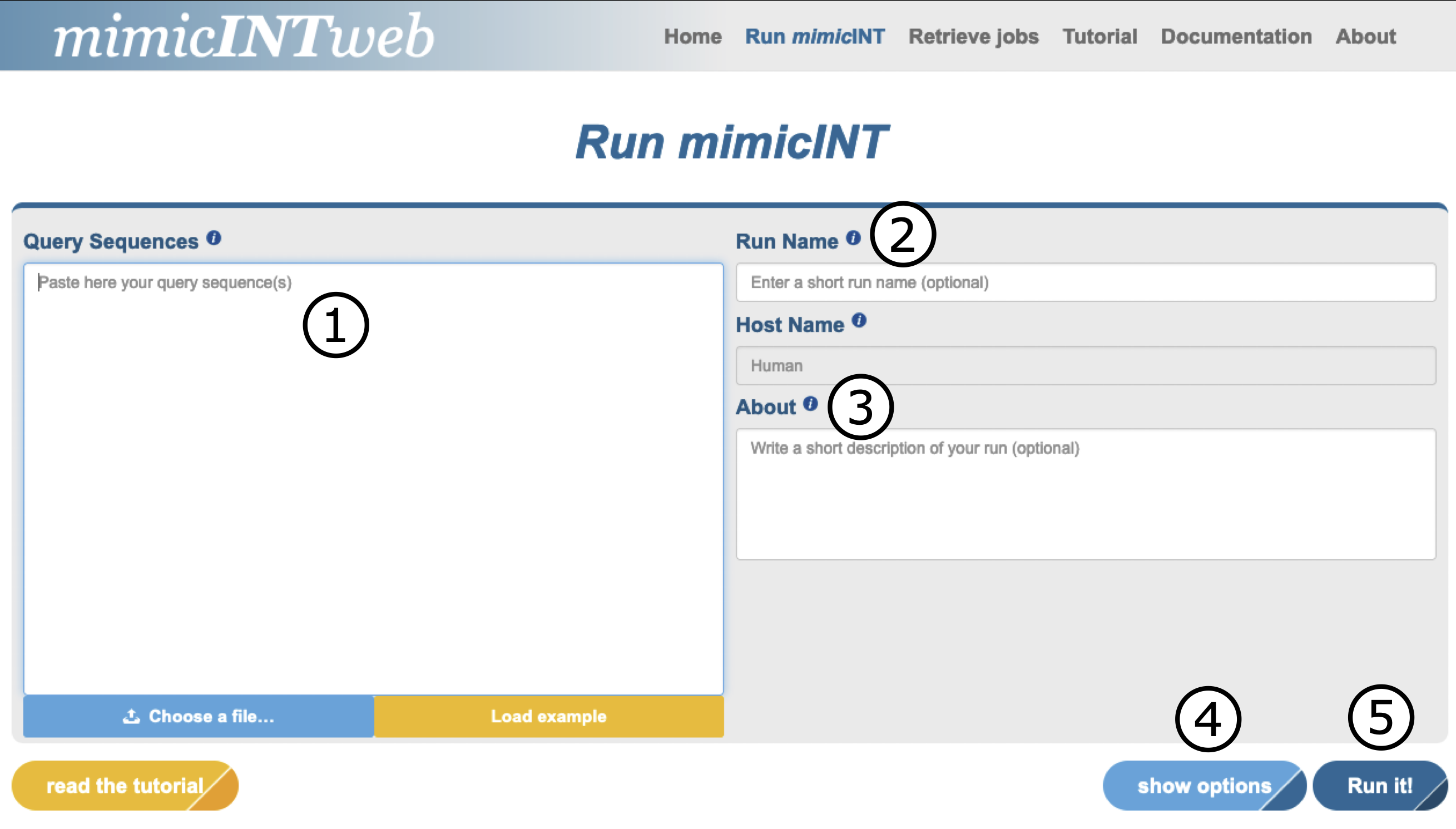 tutorial_mimicint_01